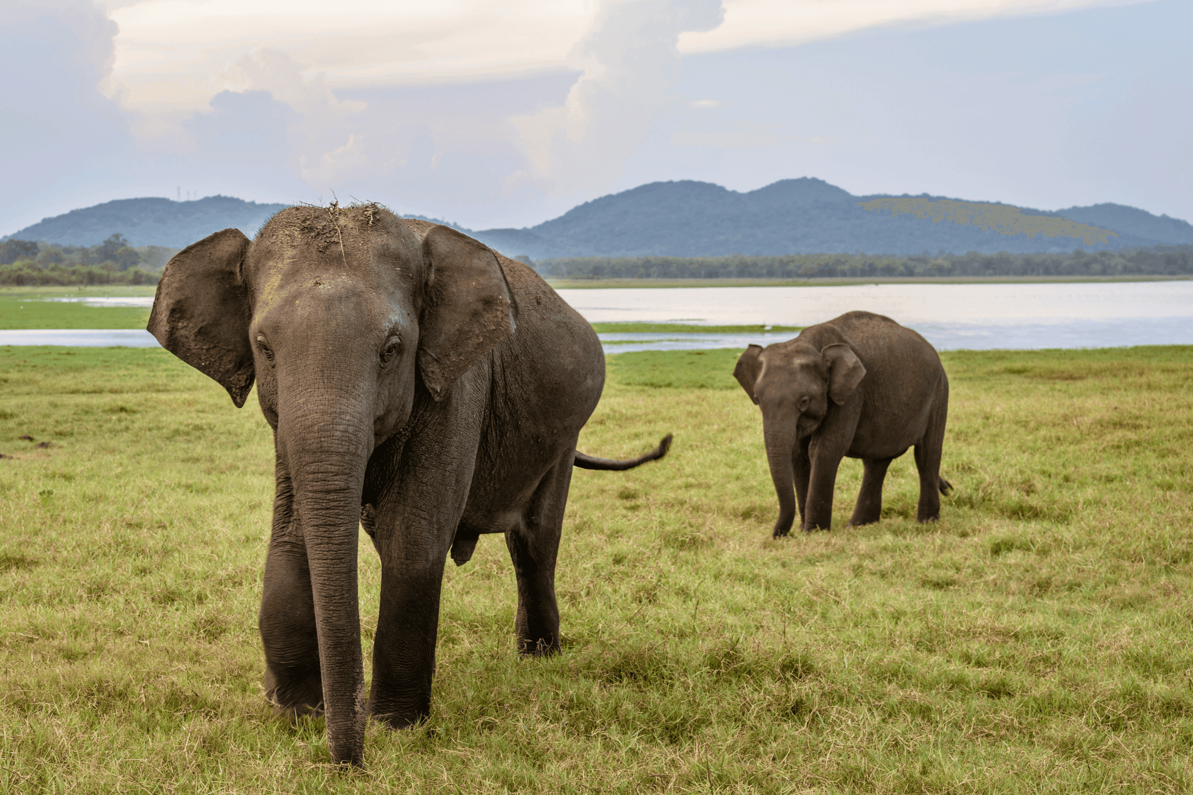 Sri Lanka Compact Adventure Escape