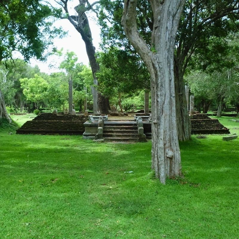 Explore Related Attractions