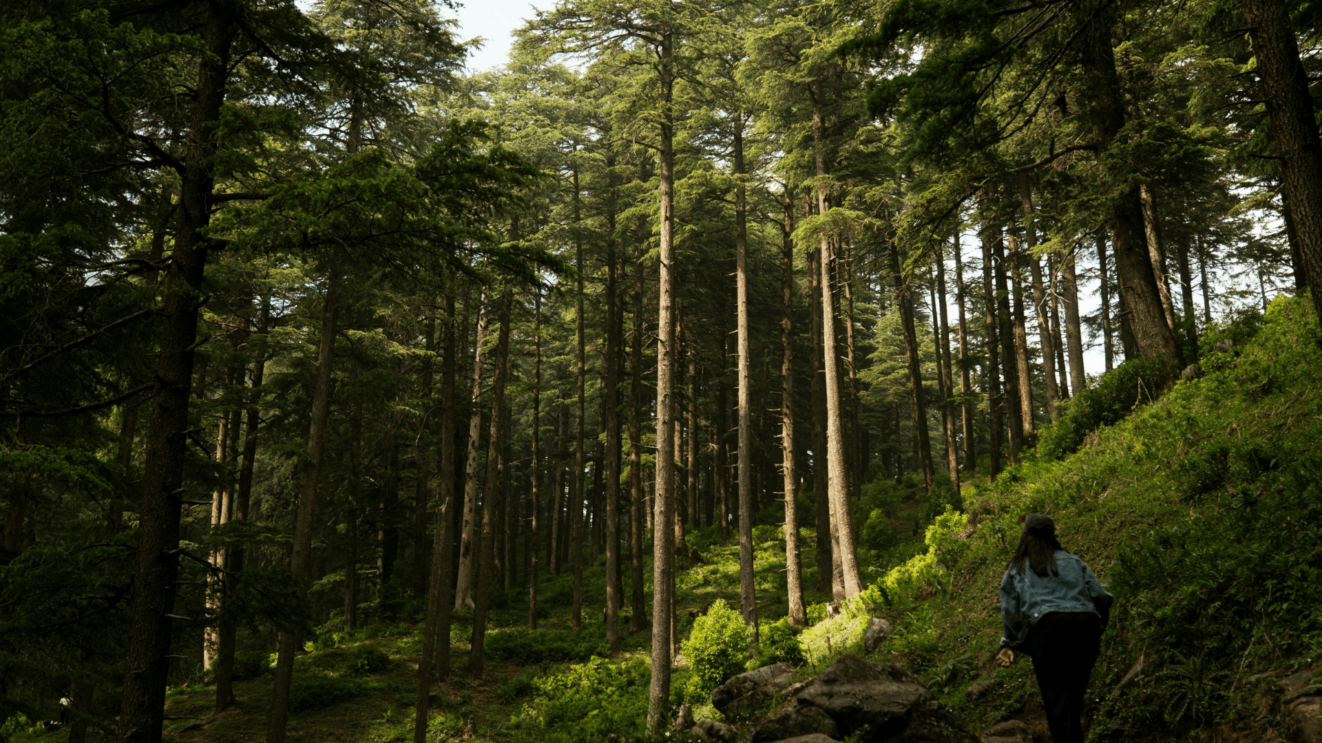 Inspired? Let’s Start Planning