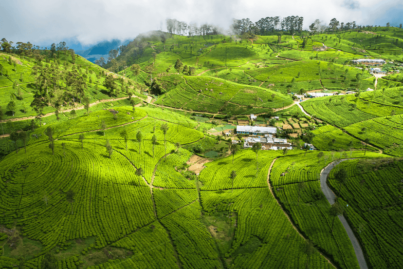 Planning Your Sri Lankan Journey